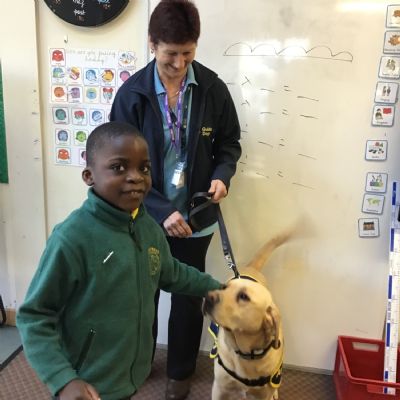 Guide Dogs Visitor